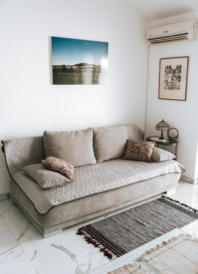 Apartment Potocki *